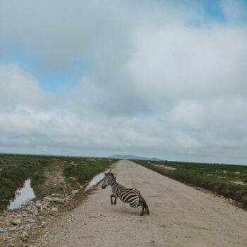 Serengeti National Park