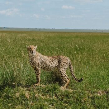 Serengeti National Park