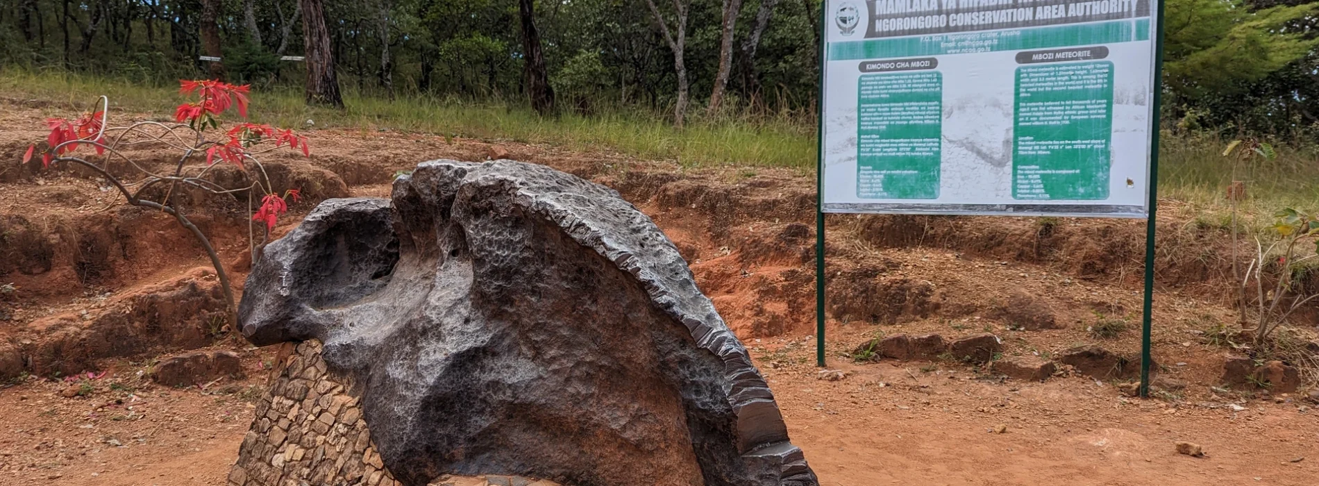 Mbozi Kimondo Meteorite