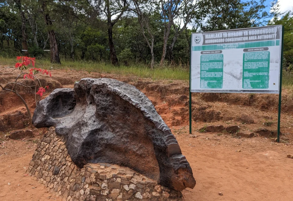 Mbozi Kimondo Meteorite