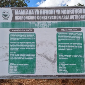 Mbozi Kimondo Meteorite