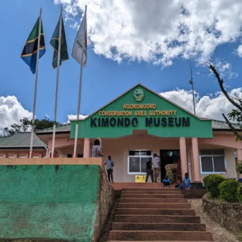 Mbozi Kimondo Meteorite