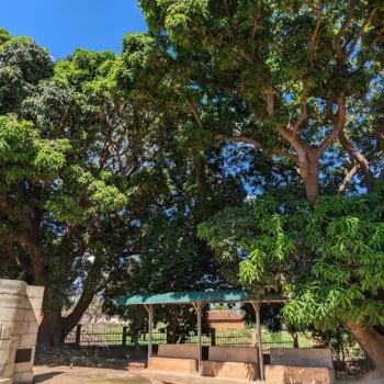 Dr. David Livingstone Memorial Museum