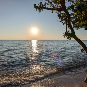 Mahale Mountains National Park