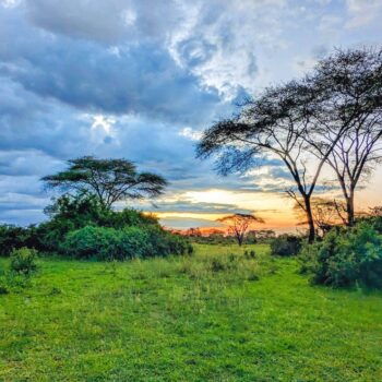Serengeti National Park