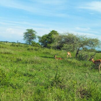 Serengeti National Park