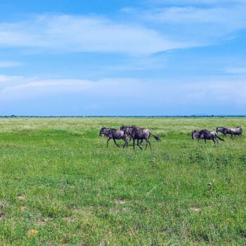 Serengeti National Park