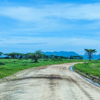 Serengeti National Park