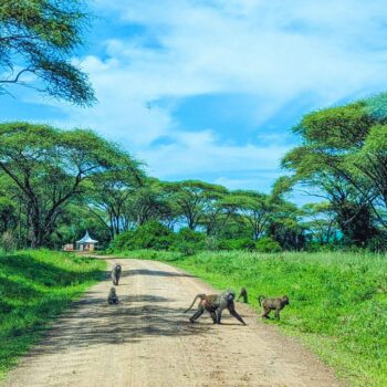 Serengeti National Park