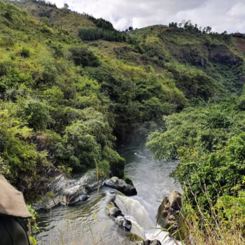 Kijungu & Daraja la Mungu