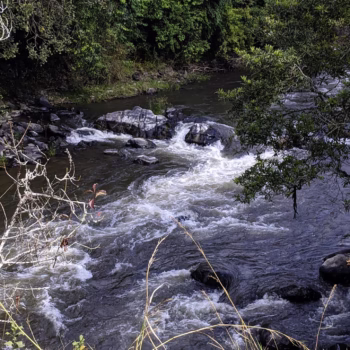 Kijungu & Daraja la Mungu