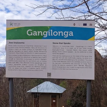 Gangilonga