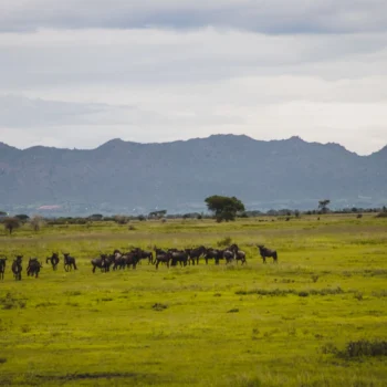 Serengeti National Park