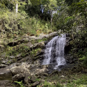 Udzungwa Mountains National Park