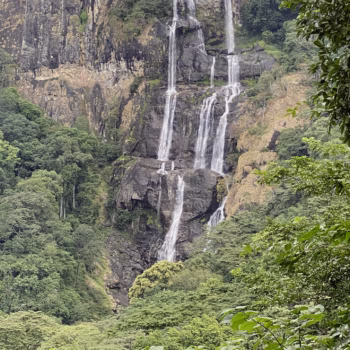 Udzungwa Mountains National Park