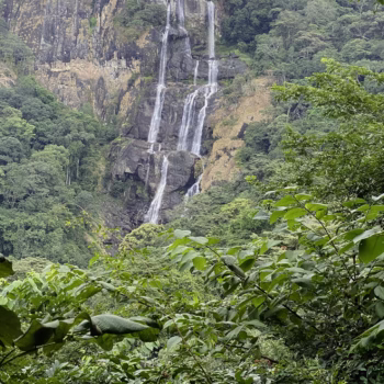 Udzungwa Mountains National Park