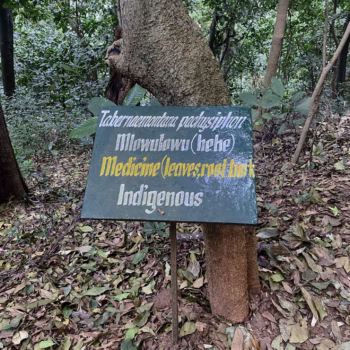 Udzungwa Mountains National Park