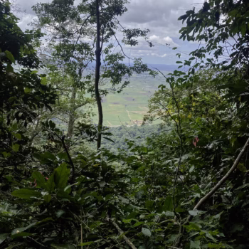 Udzungwa Mountains National Park
