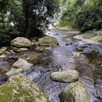 Udzungwa Mountains National Park