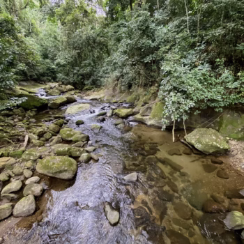 Udzungwa Mountains National Park