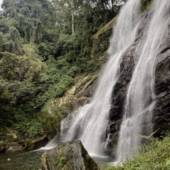 Udzungwa Mountains National Park
