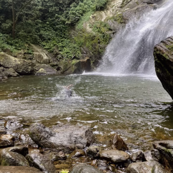 Udzungwa Mountains National Park