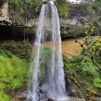 Kapologwe