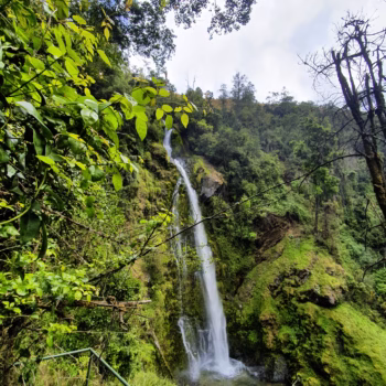 Kitulo National Park