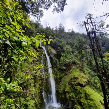 Kitulo National Park