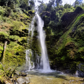 Kitulo National Park