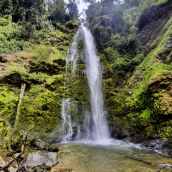 Kitulo National Park
