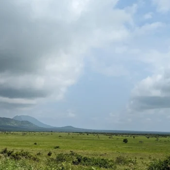 Mkomazi National Park