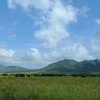 Mkomazi National Park