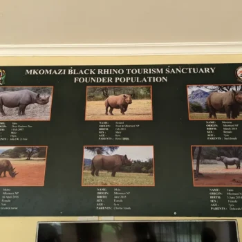 Mkomazi National Park