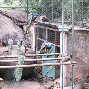Saanane Island National Park