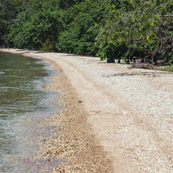 Lake Tanganyika at Gombe National Park