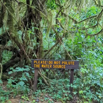 a sign in the middle of a forest