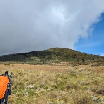 a person in an orange blanket in a field with a mountain in the background