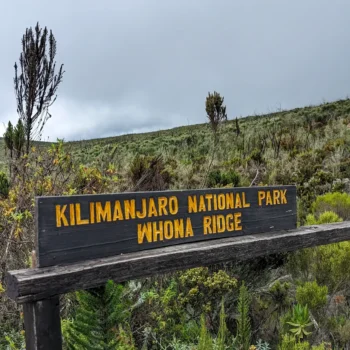 a sign in the middle of a grassy field