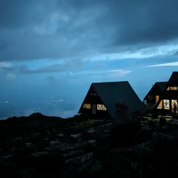 a group of houses on a hill
