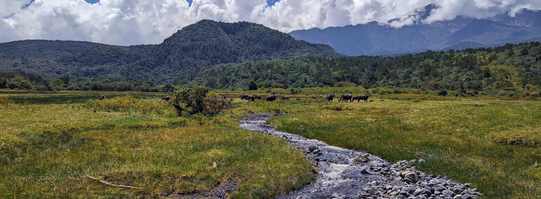 Arusha National Park
