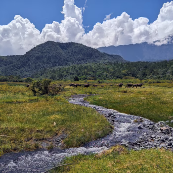Arusha National Park