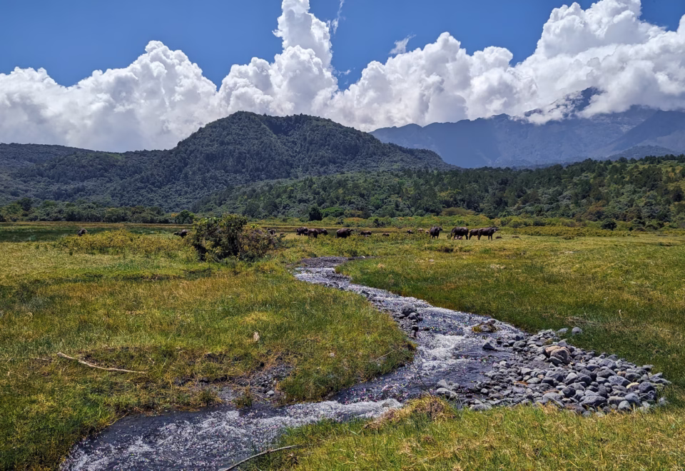 Arusha National Park