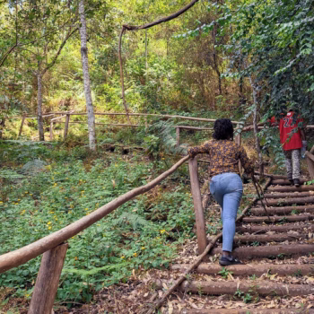 Magamba Nature Forest Reserve