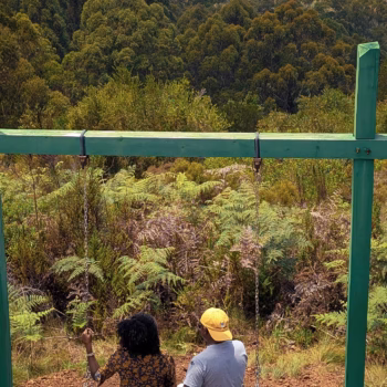 Magamba Nature Forest Reserve