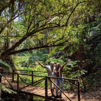 Magamba Nature Forest Reserve