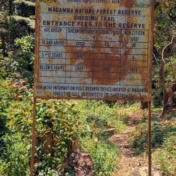 Magamba Nature Forest Reserve
