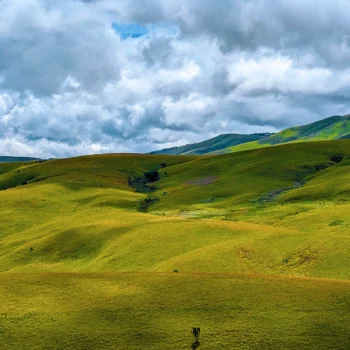Kitulo National Park