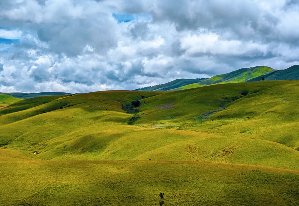 Kitulo National Park