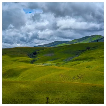 Kitulo National Park